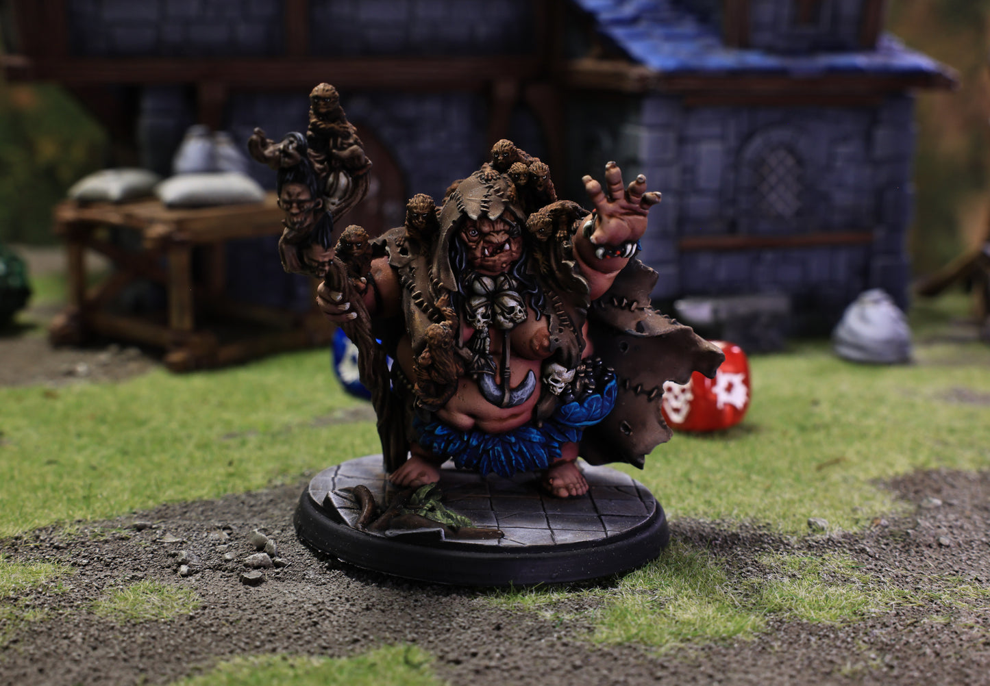Shooshaka Jungle Hag