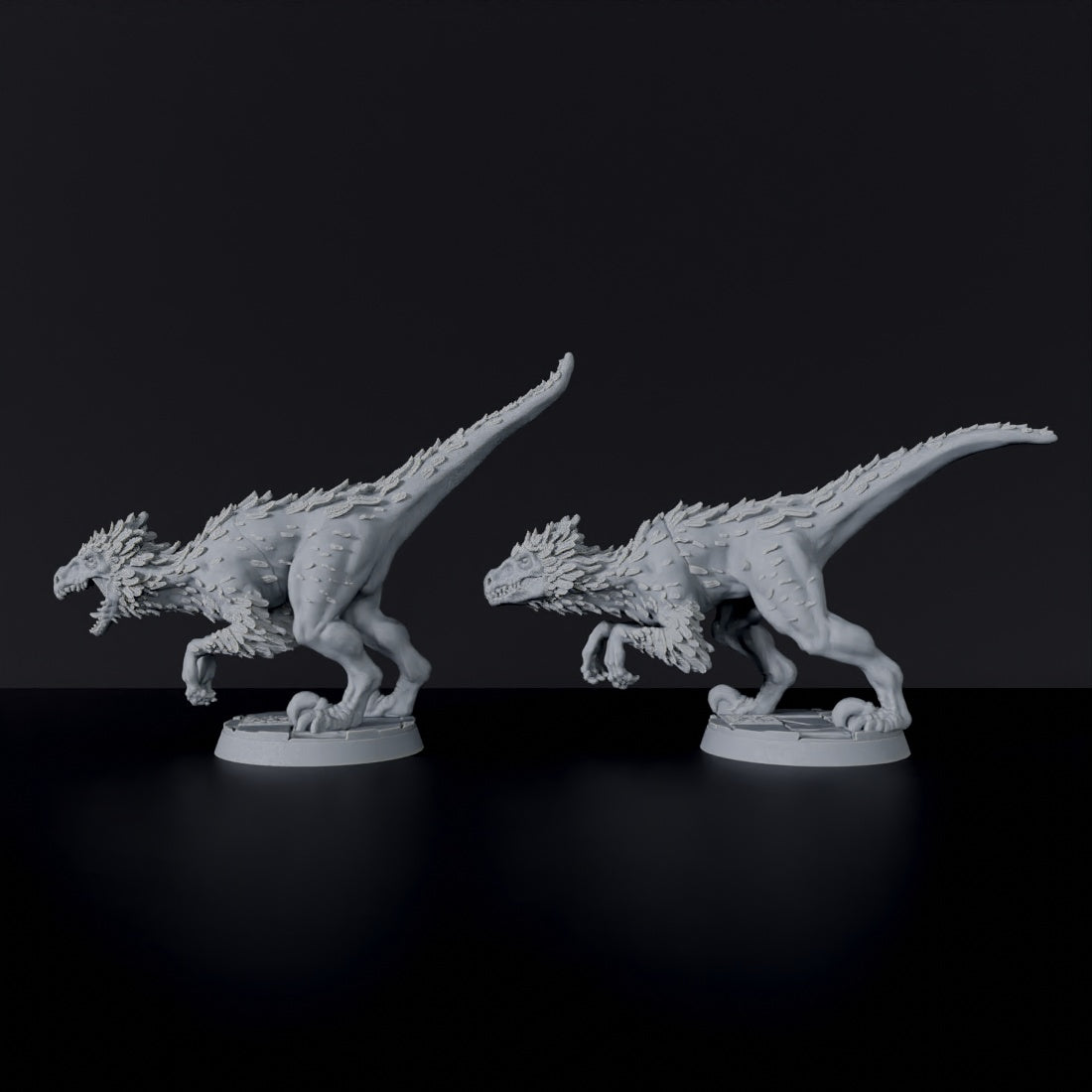 Raptors