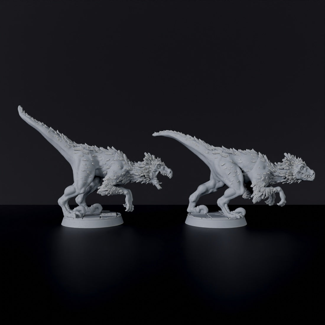 Raptors