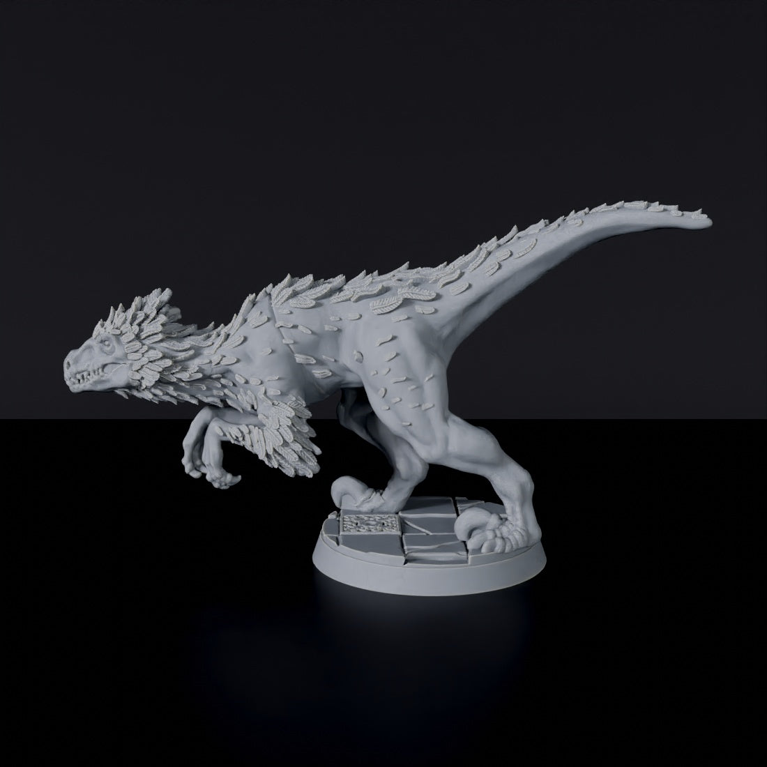 Raptors